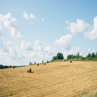 Picture of Hay Bales