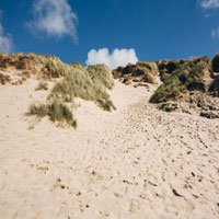 Picture of Dunes